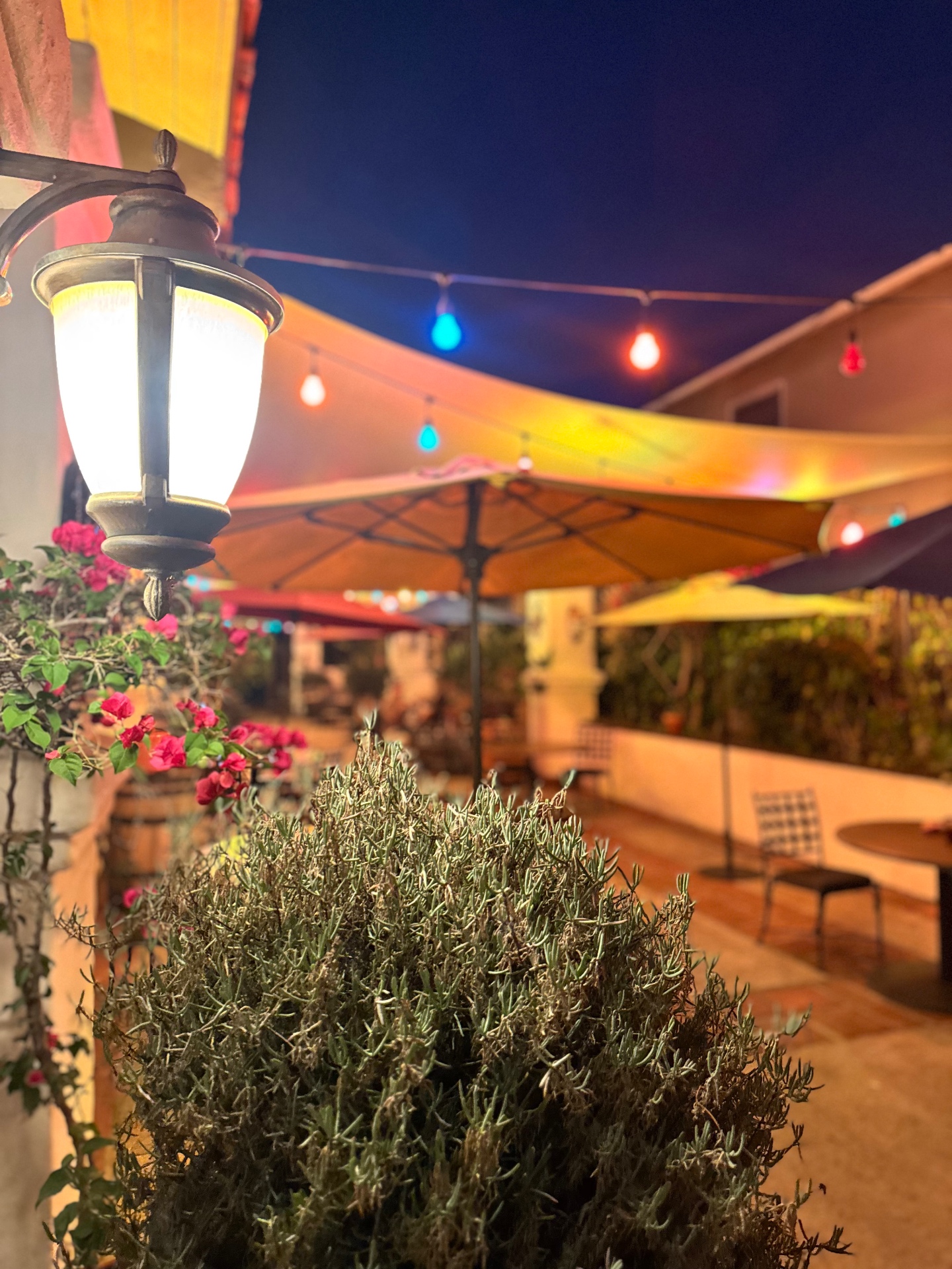 Patio under string lights at night