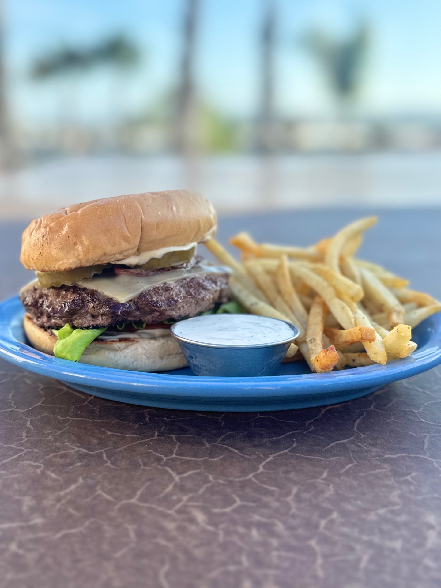 The Cantina Burger with fries